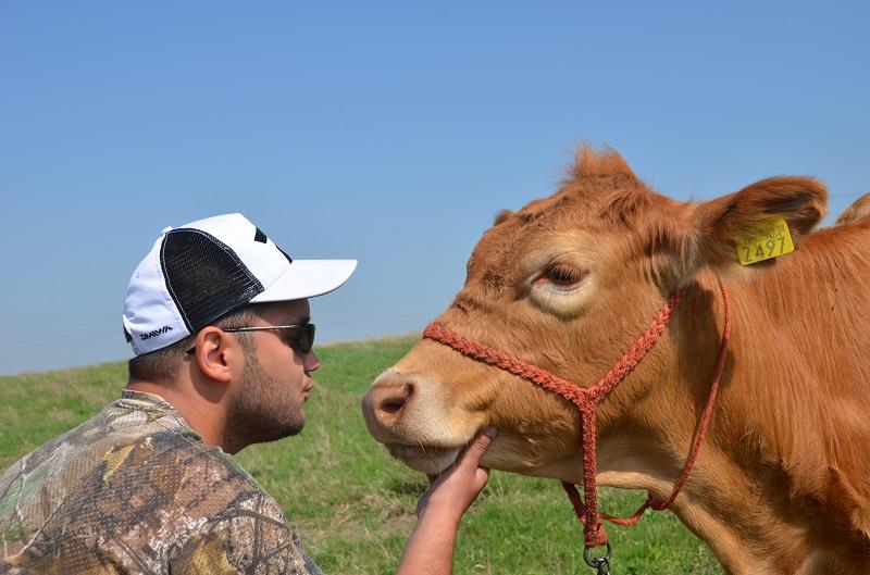 Desfasurare CN APCR Arrow Sarulesti 27 aprilie - 2 mai 2013 - dsc0526.JPG